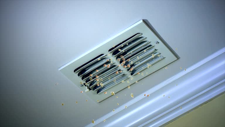 Best Residential Air Duct Cleaning  in Brookhaven, PA