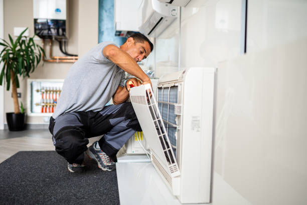 Air Duct Mold Removal in Brookhaven, PA