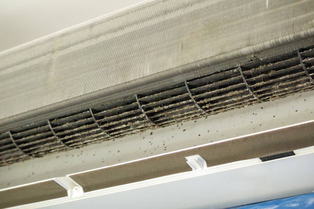 Best Best Air Duct Cleaning Company  in Brookhaven, PA